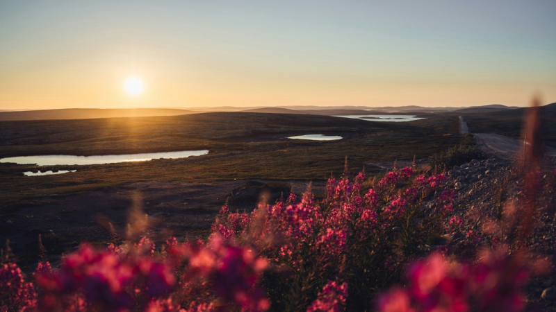 Праздники и выходные в июле 2025: производственный календарь