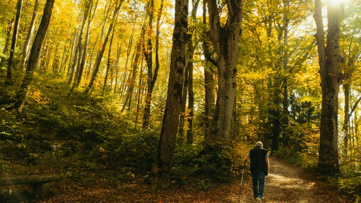 Праздники в сентябре 2025 года: когда будут выходные и чем заняться