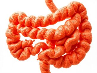 ФГДС кишечника: что это на самом деле и зачем его путают с исследованием кишечника