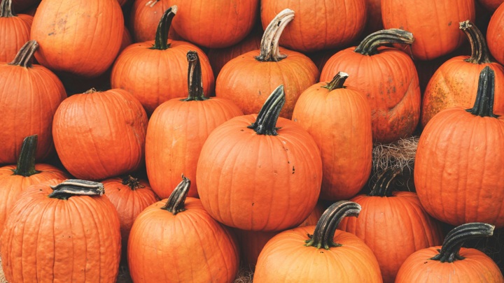 Выходные и праздники в октябре 2025 года: сколько дней отдыхают россияне и чем заняться на выходных