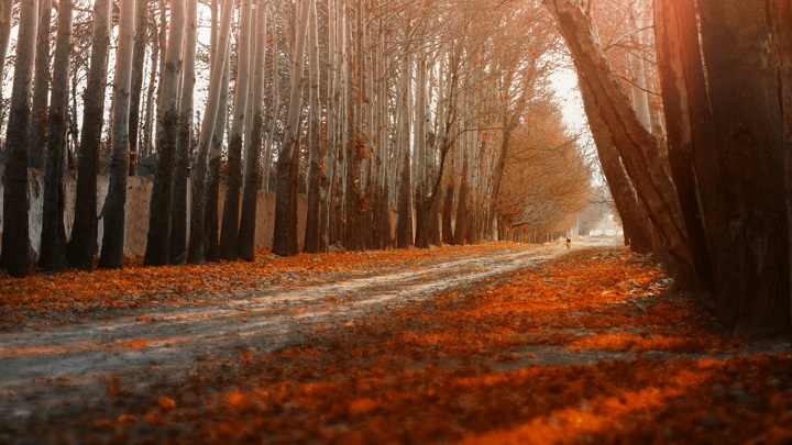 Выходные и праздники в октябре 2025 года: сколько дней отдыхают россияне и чем заняться на выходных