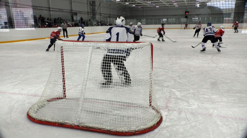 День зимних видов спорта в России: история, традиции и как отметить в 2026 году