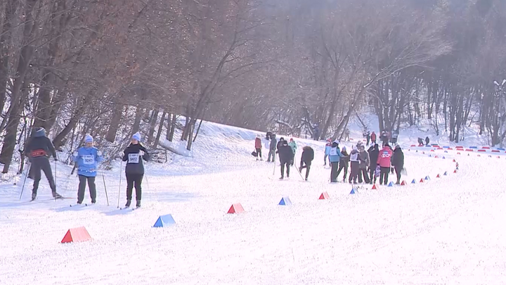 Лыжня России 2026: дата проведения и места, где пройдет главный лыжный забег страны